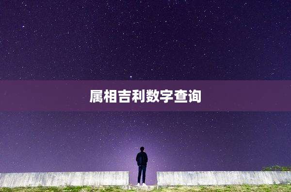 属相吉利数字查询