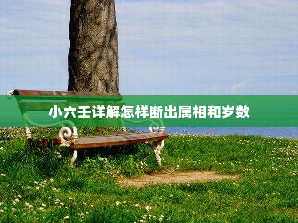 小六壬详解怎样断出属相和岁数