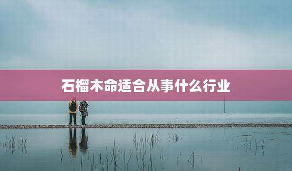 石榴木命适合从事什么行业