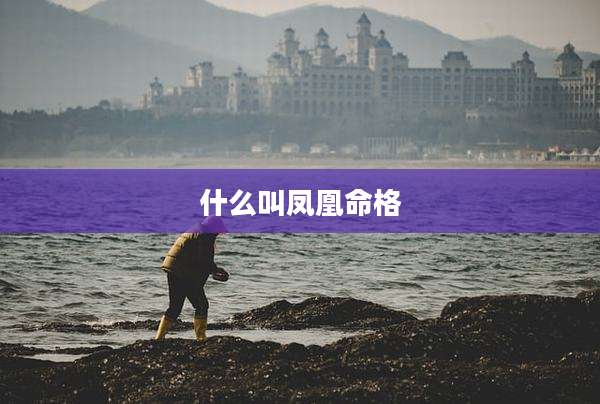 什么叫凤凰命格