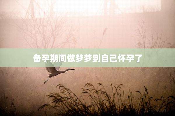 备孕期间做梦梦到自己怀孕了