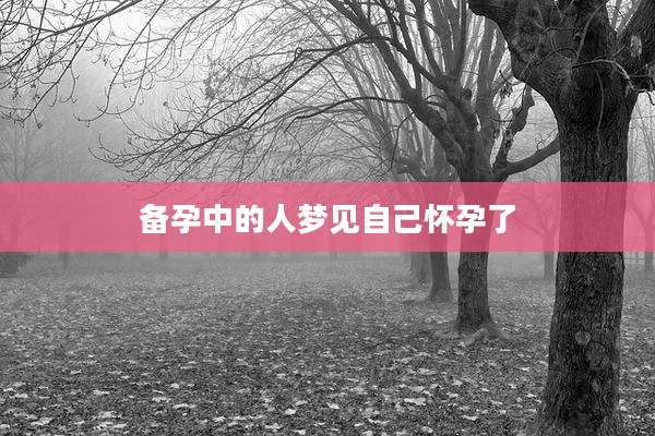 备孕中的人梦见自己怀孕了