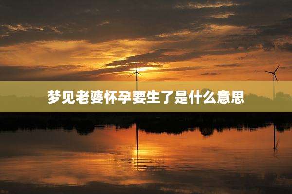 梦见老婆怀孕要生了是什么意思