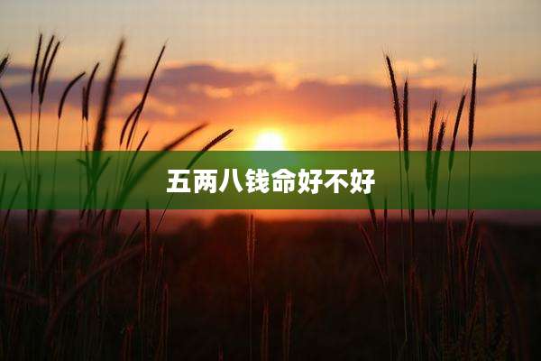 五两八钱命好不好