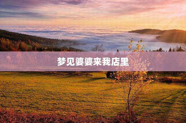 梦见婆婆来我店里