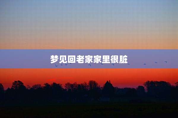 梦见回老家家里很脏