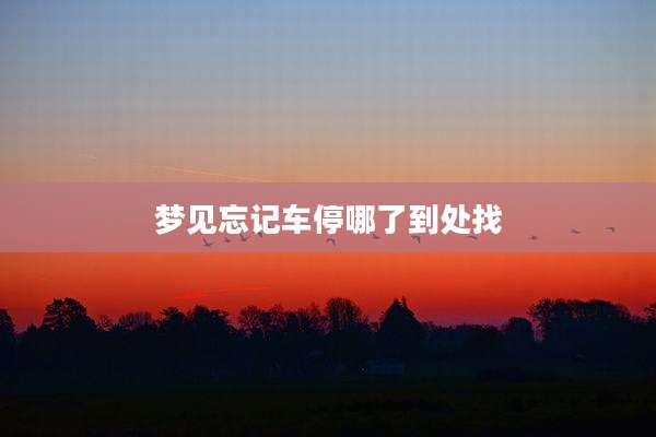 梦见忘记车停哪了到处找