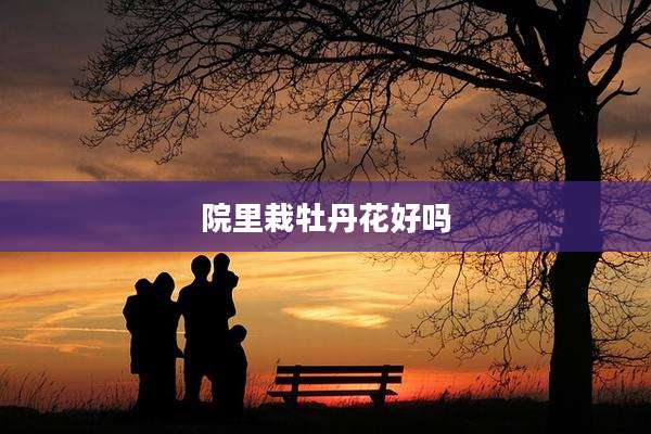 院里栽牡丹花好吗