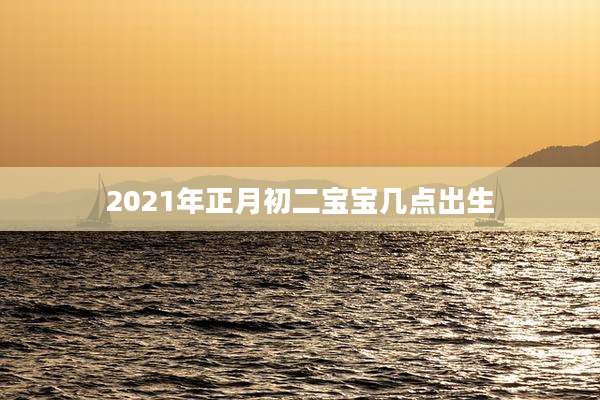 2021年正月初二宝宝几点出生