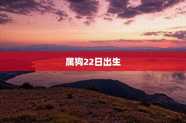 属狗22日出生