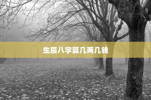 生辰八字算几两几钱