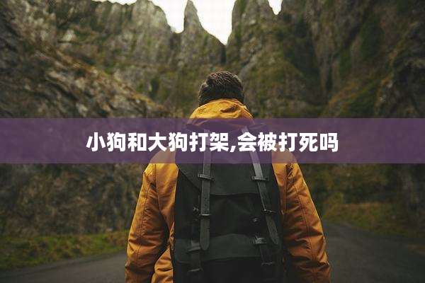 小狗和大狗打架,会被打死吗