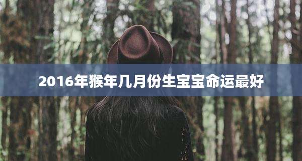 2016年猴年几月份生宝宝命运最好