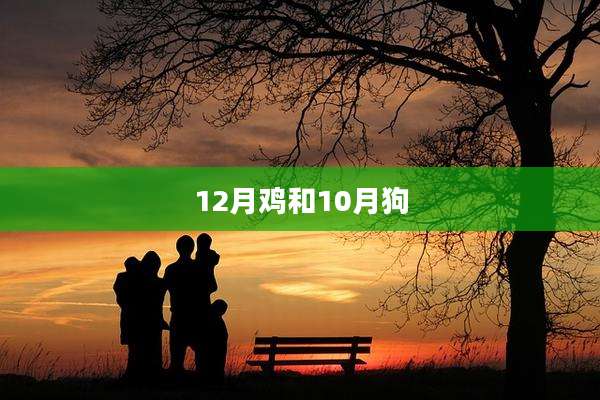 12月鸡和10月狗
