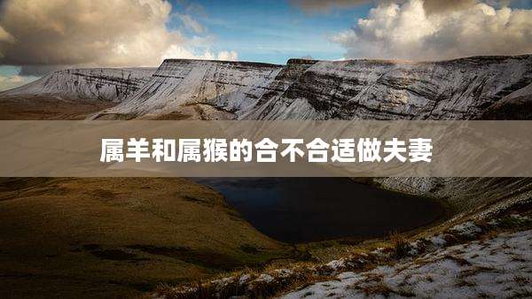 属羊和属猴的合不合适做夫妻