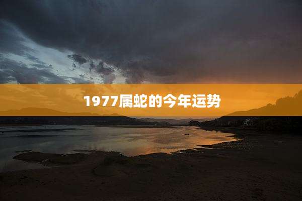 1977属蛇的今年运势