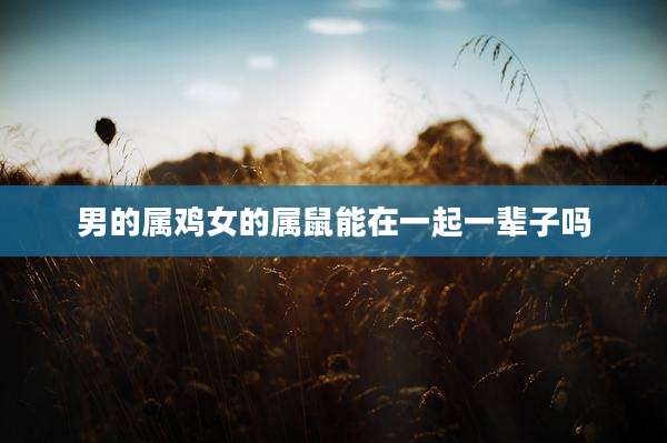 男的属鸡女的属鼠能在一起一辈子吗