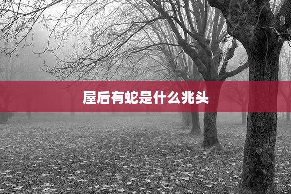 屋后有蛇是什么兆头