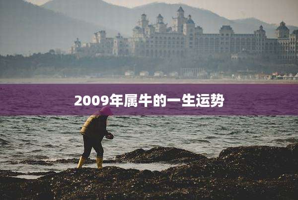 2009年属牛的一生运势