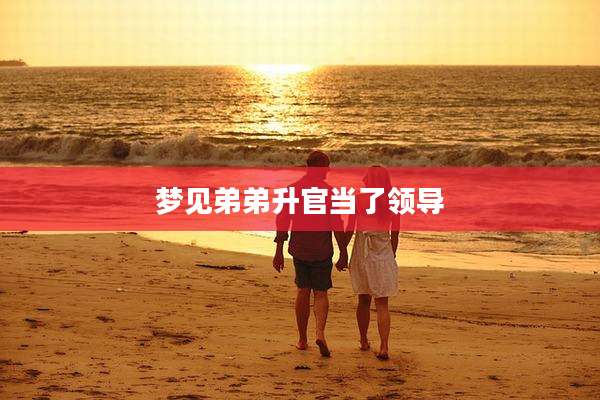梦见弟弟升官当了领导
