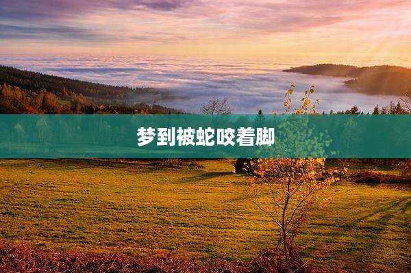 梦到被蛇咬着脚