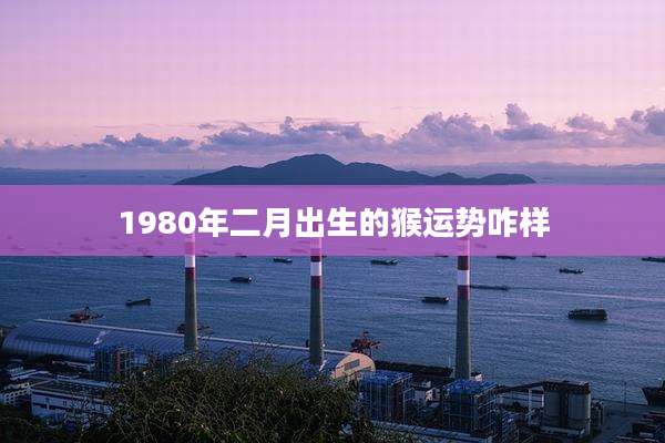 1980年二月出生的猴运势咋样