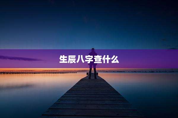 生辰八字查什么