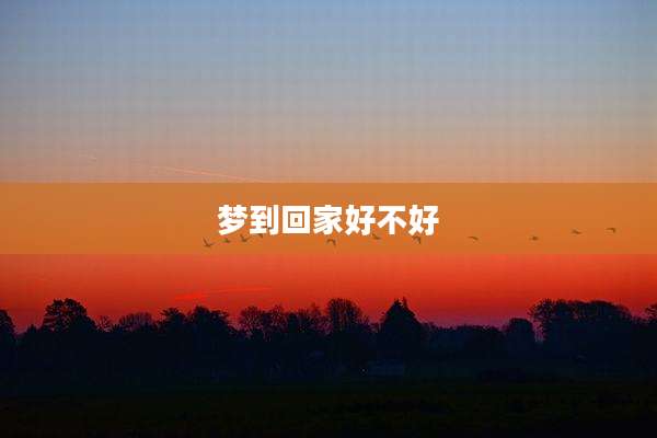 梦到回家好不好
