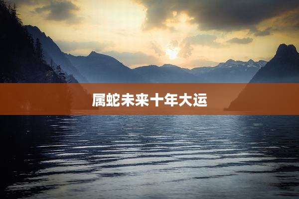属蛇未来十年大运
