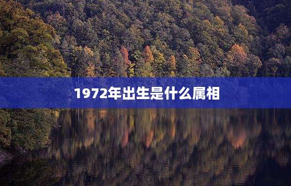 1972年出生是什么属相