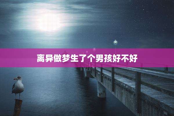 离异做梦生了个男孩好不好