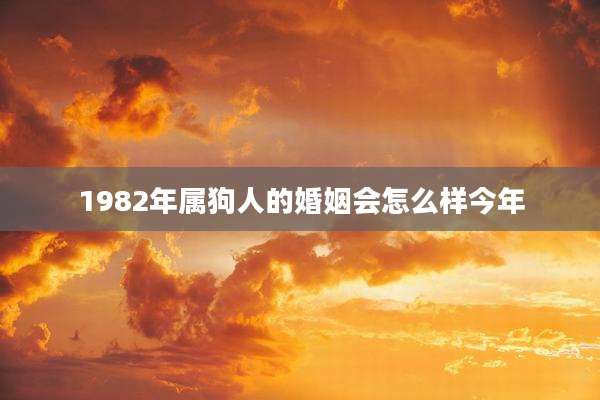 1982年属狗人的婚姻会怎么样今年