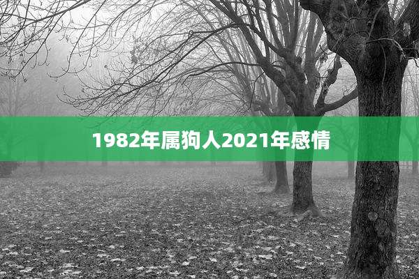 1982年属狗人2021年感情