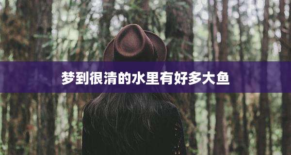 梦到很清的水里有好多大鱼