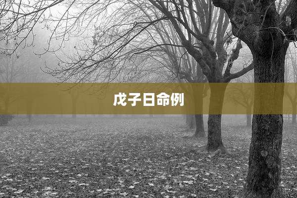 戊子日命例