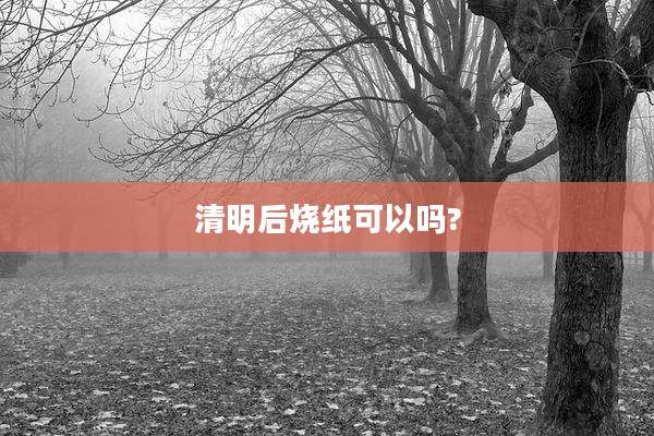清明后烧纸可以吗?