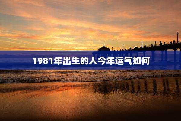 1981年出生的人今年运气如何