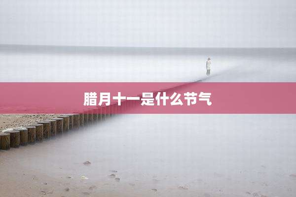 腊月十一是什么节气