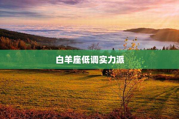 白羊座低调实力派
