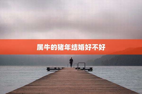 属牛的猪年结婚好不好