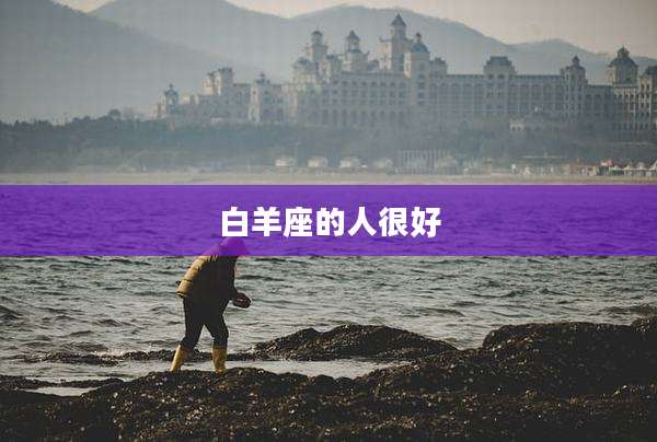 白羊座的人很好