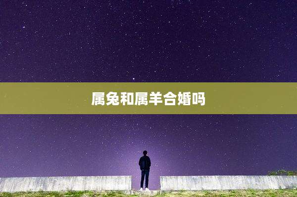 属兔和属羊合婚吗