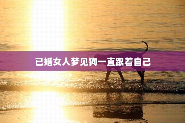 已婚女人梦见狗一直跟着自己