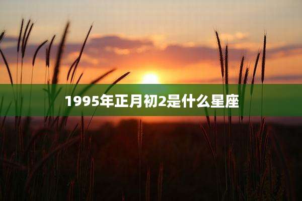 1995年正月初2是什么星座