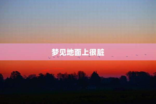 梦见地面上很脏