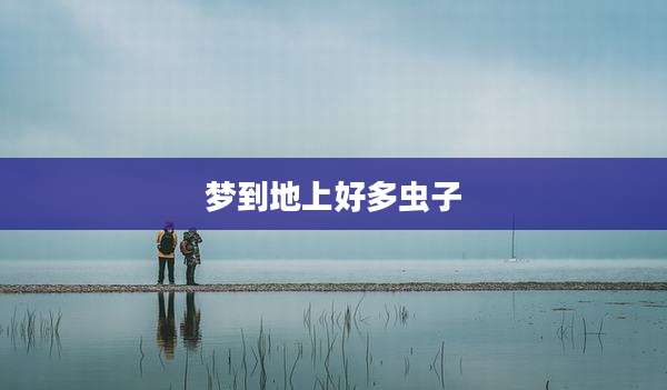 梦到地上好多虫子
