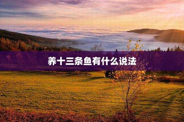养十三条鱼有什么说法