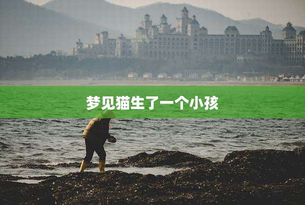 梦见猫生了一个小孩