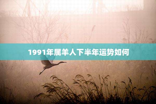 1991年属羊人下半年运势如何