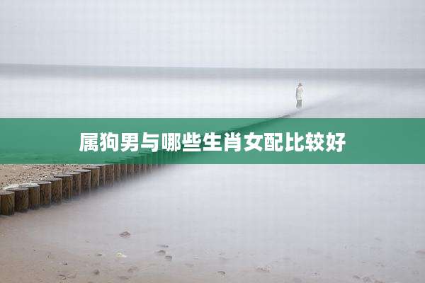 属狗男与哪些生肖女配比较好